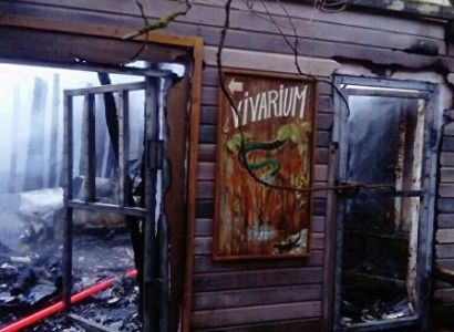 Nearly 60 animals killed in French zoo fire