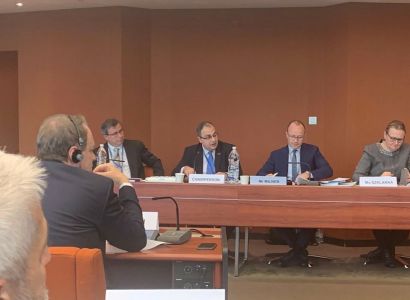 Armenian ruling party's faction MP elected PACE Sub-Committee on Human Rights chair