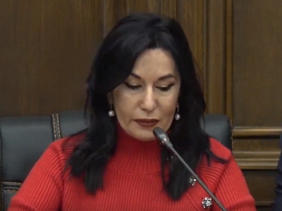 Prosperous Armenia MP: Not a single political party can speak on behalf of all people