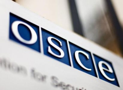 Представитель ОБСЕ обеспокоен насилием в отношении журналистов в Азербайджане