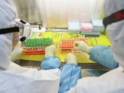 Australia to donate $ 1.3 million to fight coronavirus