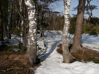 Եղանակը Հայաստանում