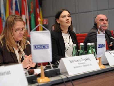 Deputy Justice Minister attends OSCE forum, presents Armenia's achievements in fight against corruption