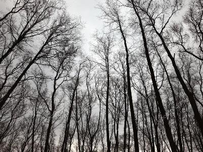 Погода в Армении: температура воздуха продолжит повышаться