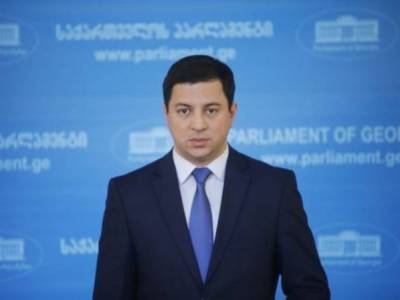 В доме, где живет спикер парламента Грузии, нашли оружие