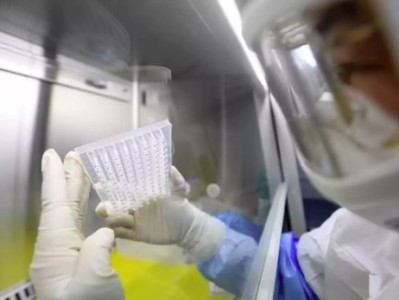 Ecuador reports its first case of coronavirus