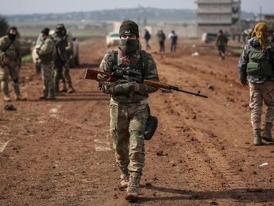 Американский эксперт: США не должны помогать Эрдогану в Сирии