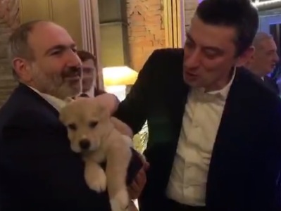 Armenia PM given dog as gift from Georgia colleague