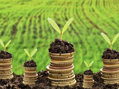 EU Green Agriculture Initiative project kicks off in Armenia