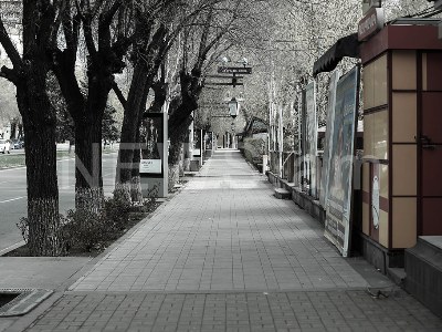 Form for Armenian citizens to fill out before leaving house presented