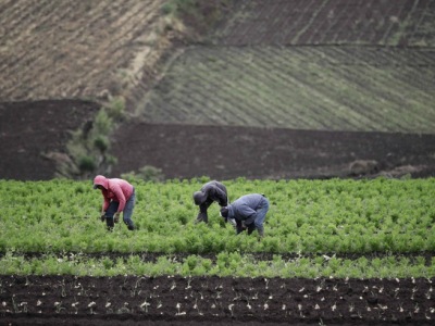 World Bank: Latin America and Caribbean countries expect 4.6% drop in GDP