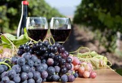 NGO head: Most Armenian viticulturists can't benefit from government's support program