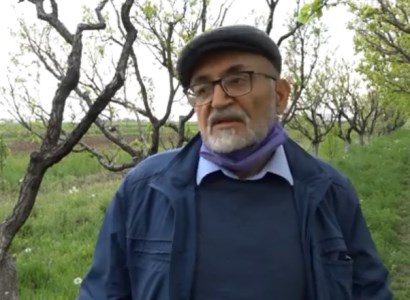 Ծիրան և խաղող մշակողները փոխհատուցում կստանան․ Փոխնախարար (վիդեո)