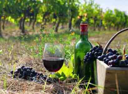 Գինու վաճառքը ներքին շուկայում 60-70%-ով նվազել է․ Հայաստանի գինեգործների միություն
