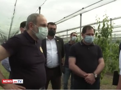«Ո՞նց չեն տալիս». Փաշինյանը հանձնարարեց ստուգել, թե ինչու ջերմոցի տիրոջը վարկ չեն տվել