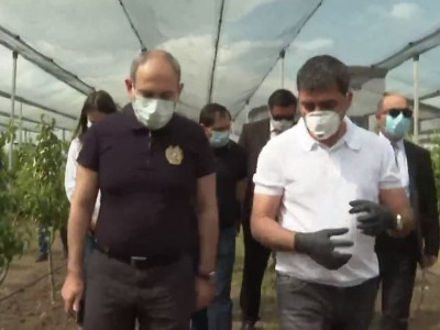 Armenia premier promises that factories’ procurement price of grapes would be normal