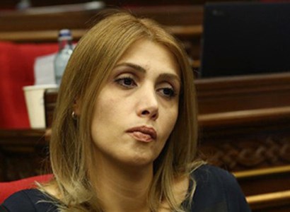 Քաղաքական իշխանությունը ցանկանում է իրեն ապահովագրել արդարադատությունից. Էլինար Վարդանյան