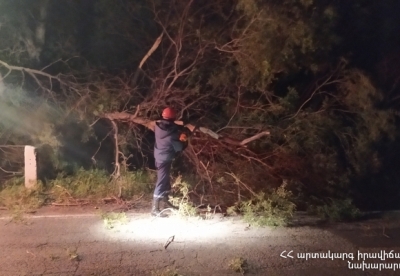 Ջերմուկում ծառը կոտրվել եւ ընկել է ճանապարհին՝ այն դարձնելով միակողմանի երթեւեկելի