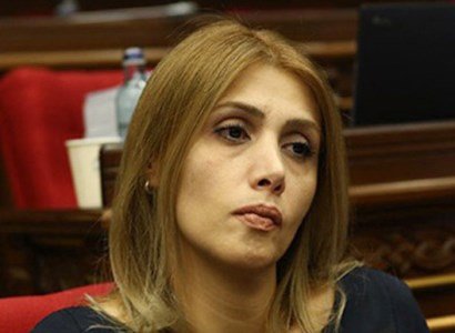 Համավարակը, հասարակությունը եւ պետությունը. Էլինար Վարդանյան