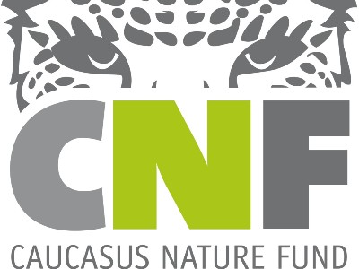 Նոր ֆինանսավորում CNF-ի կողմից՝ Տավուշի մարզի նորահայտ ընձառյուծի պահպանության համար
