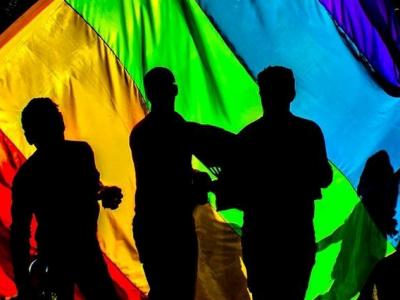 В Эстонии проведут референдум об однополых браках