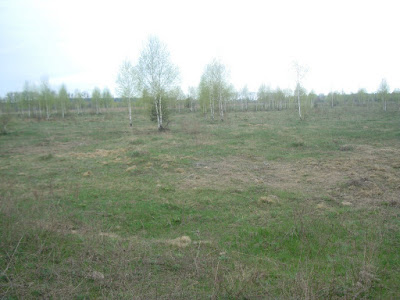 Փոփոխություն պետական ու համայնքային հողամասերի վաճառքի աճուրդների ընթացակարգերում