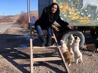 «Լիդիան» ընկերությունը Ամուլսարի շահագործման նախապատրաստությունը սկսել է շան երեք անմեղ ձագերի սպանությամբ (ֆոտո)