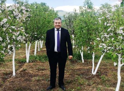 Armenian advocate tests positive for COVID-19