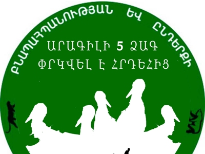 Արարատի մարզում այրվել է արագիլների բույնը, հայտնաբերվել է արագիլի 5 ձագ