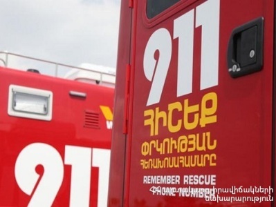 Ավտոմեքենան վրաերթի է ենթարկել կենդանու և հայտնվել ճանապարհի երթևեկելի հատվածից դուրս. կան տուժածներ