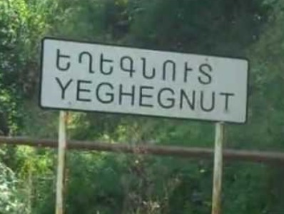 Կոնդիցիոների տակ նստած ժողովրդի տեղը որոշումներ են կայացնում. Եղեգնուտում բողոքի ակցիաները չեն դադարում