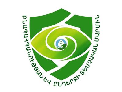 Եզակի բնույթ են կրել տարեցների կողմից սեղանի ժամանցային խաղերի ընթացքում սոցիալական հեռավորություն չպահպանելու դեպքերը
