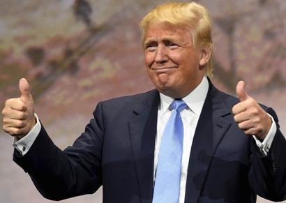 US to have over 720 km of wall built along Mexico border by end of year, says Trump