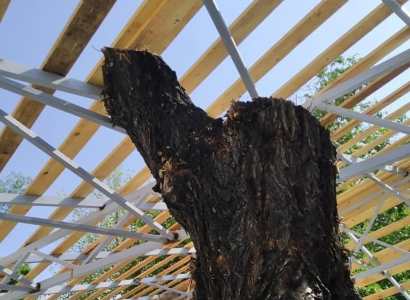 «Բարգավաճ Հայաստան». Մաշտոցի պուրակում հակաիրավական գործողությունները շարունակվում են