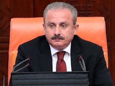 Turkish parliament speaker says there is no need to withdraw from Istanbul Convention
