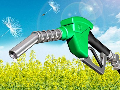 August 10 is International Biodiesel Day