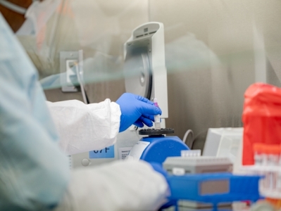 WHO: Japan conducts preclinical trials of four COVID-19 vaccines