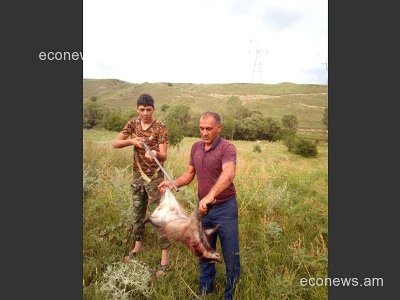 Դաժան եւ ապօրինի «որսի» սիրահարը (ֆոտո)