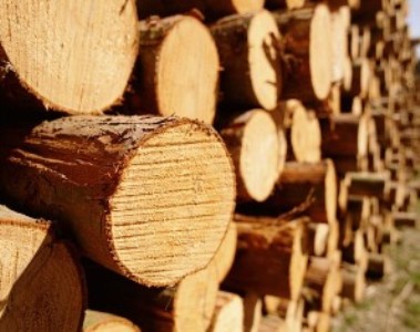 Փայտանյութով բեռնված մեքենան տեղափոխվեց հատուկ պահպանվող տարածք. Վարորդը փաստաթուղթ չուներ
