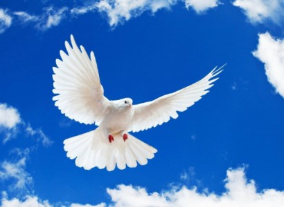 Այսօր Խաղաղության միջազգային օրն է