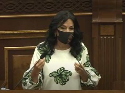 Opposition MP: Armenia still not ready to provide services under "one-stop shop" principle