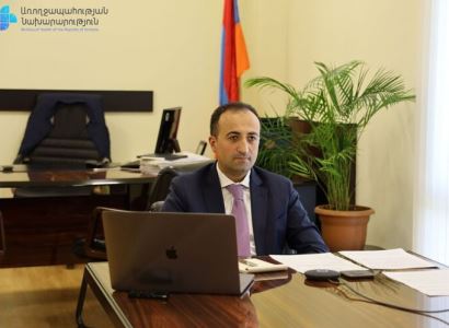 Глава Минздрава Армении представил чиновнику ВОЗ ситуацию с COVID-19 в республике
