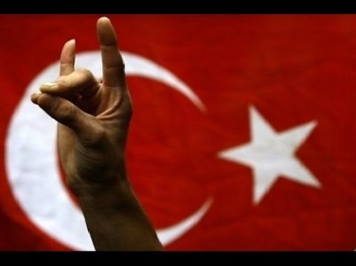 Во Франции запретили турецкую организацию «Серые волки»