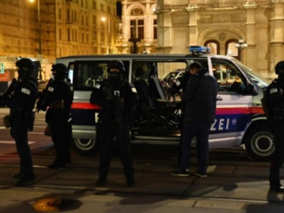 В МВД Австрии заявили, что восемь задержанных по делу о теракте в Вене уже были судимы