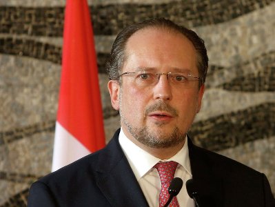 Глава МИД Австрии: Турция не войдет в состав Евросоюза в ближайшие 30 лет
