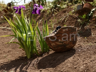 Artsakh Defense Army reports 81 more casualties
