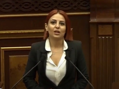 Armenian opposition MP calls on authorities to not apply double standards against protesters