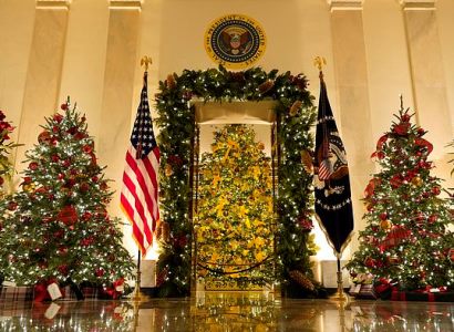 "America the Beautiful" is this year's Christmas decor theme at White House (PHOTOS)