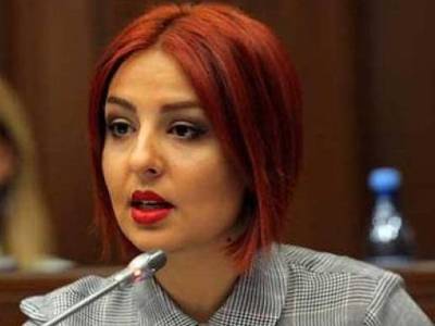 «Светлая Армения»: Антикоррупционные суды не будет способствовать сокращению коррупции в судебной системе