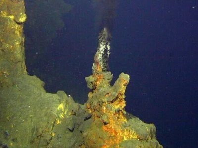 Ученые нашли почти 300 видов неизвестных бактерий в подводном вулкане